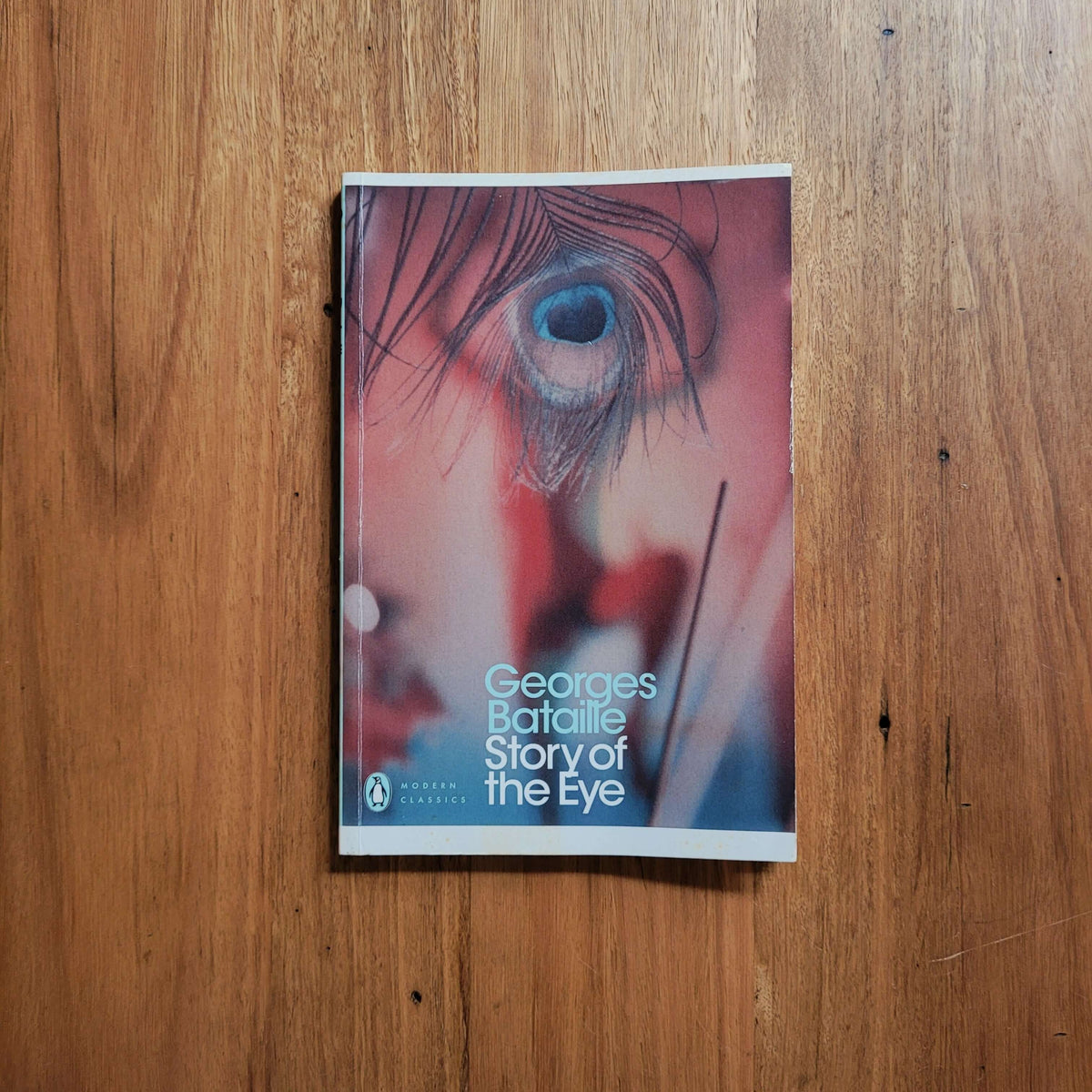Georges Bataille - The Story of the Eye paperback cover on wooden surface.