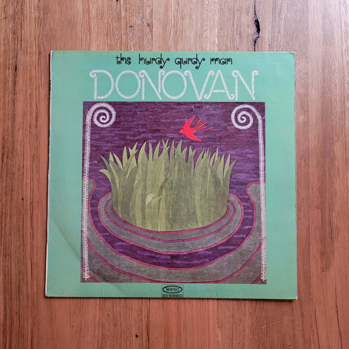 A square album or book cover titled 'DONOVAN' with the subtitle 'the muddy, squidgy, mossy' lies on a wooden surface. The cover has a mint green border and an illustration featuring a green grassy mound, purple swirls, and a small red bird.
