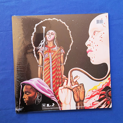 A square vinyl record sleeve. Back cover of Miles Davis - Bitches Brew.