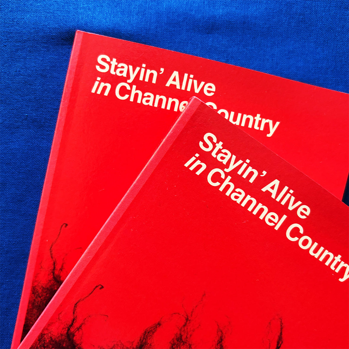 James Alfred Podhorodecki - Stayin' Alive in Channel Country